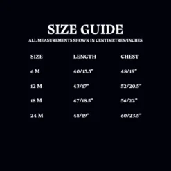 Warner Bros Best Sellers Gryffindor Jersey Baby Body Suit