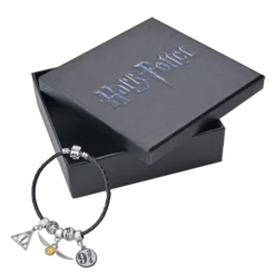 Warner Bros Harry Potter Charm Bracelet Set