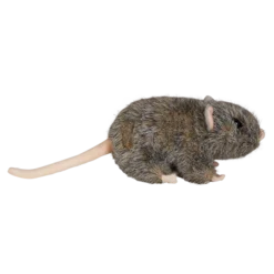 Warner Bros Scabbers Plush Soft Toys