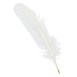 Warner Bros Feather Quill Pen Best Sellers