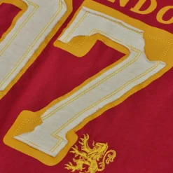 Warner Bros Kids Harry Potter Seeker T-Shirt Best Sellers