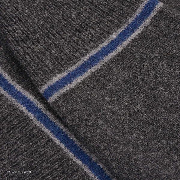 Warner Bros Ravenclaw V-Neck School Cardigan