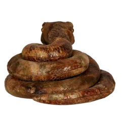 Warner Bros Nagini Snake Plush Soft Toys