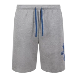 Warner Bros Best Sellers Ravenclaw Quidditch Team Captain Shorts