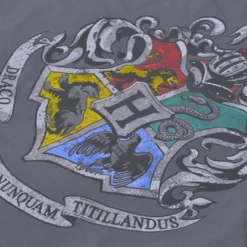 Warner Bros Kids Hogwarts Silver Crest T-Shirt