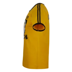 Warner Bros Best Sellers Personalised Hufflepuff House Seeker T-Shirt