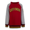 Warner Bros Kids Gryffindor Sweatshirt Best Sellers