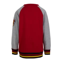 Warner Bros Kids Gryffindor Sweatshirt Best Sellers