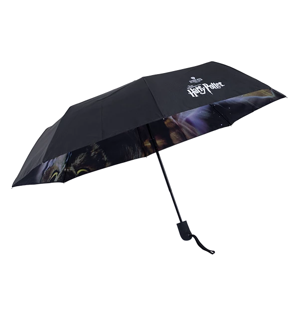 Warner Bros Philosopher's Stone Umbrella