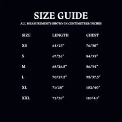 Warner Bros Slytherin Ladies Raglan Shirt