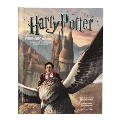 Warner Bros Harry Potter Pop Up Book