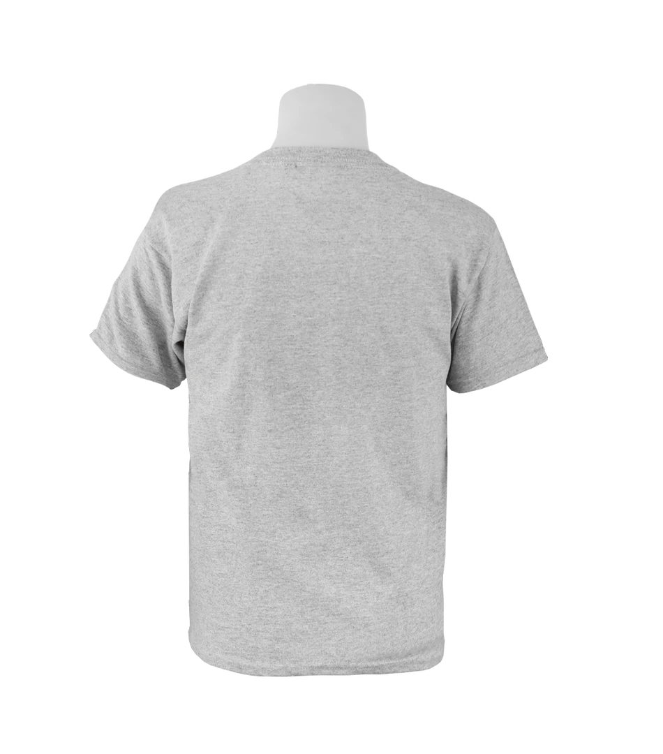 Warner Bros Best Sellers Kids Gryffindor Distressed T-Shirt