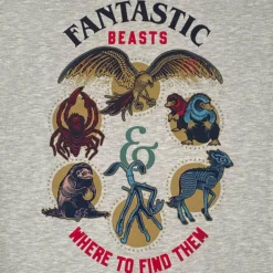 Warner Bros The Secrets Of Dumbledore Sweatshirt