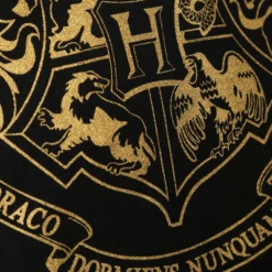Warner Bros Hogwarts Gold Crest Hooded Jumper