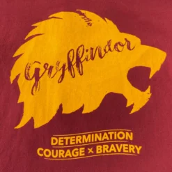 Warner Bros Best Sellers Gryffindor Unisex Pyjama Set