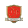 Warner Bros Gryffindor House Crest Enamel Pin