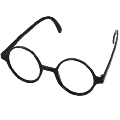 Warner Bros Harry Potter Spectacles Best Sellers