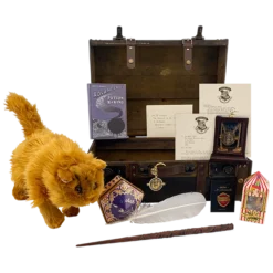 Warner Bros Hermione Granger Gift Trunk