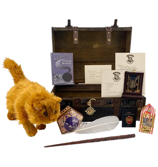 Warner Bros Hermione Granger Gift Trunk