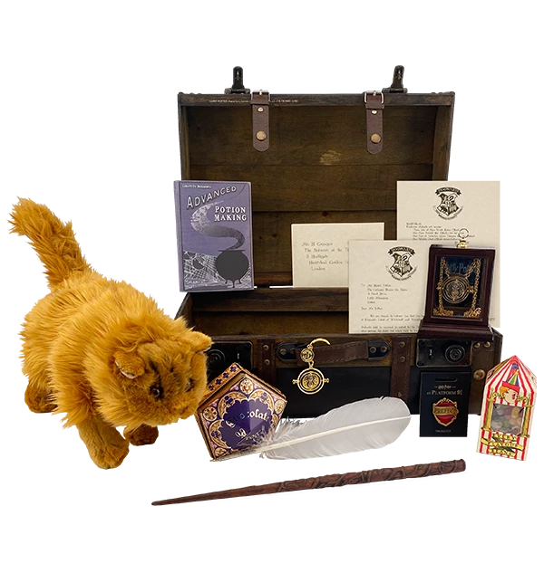 Warner Bros Hermione Granger Gift Trunk