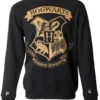 Warner Bros Hogwarts Striped Sleeve Sweatshirt