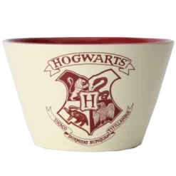 Warner Bros Hogwarts Bowl