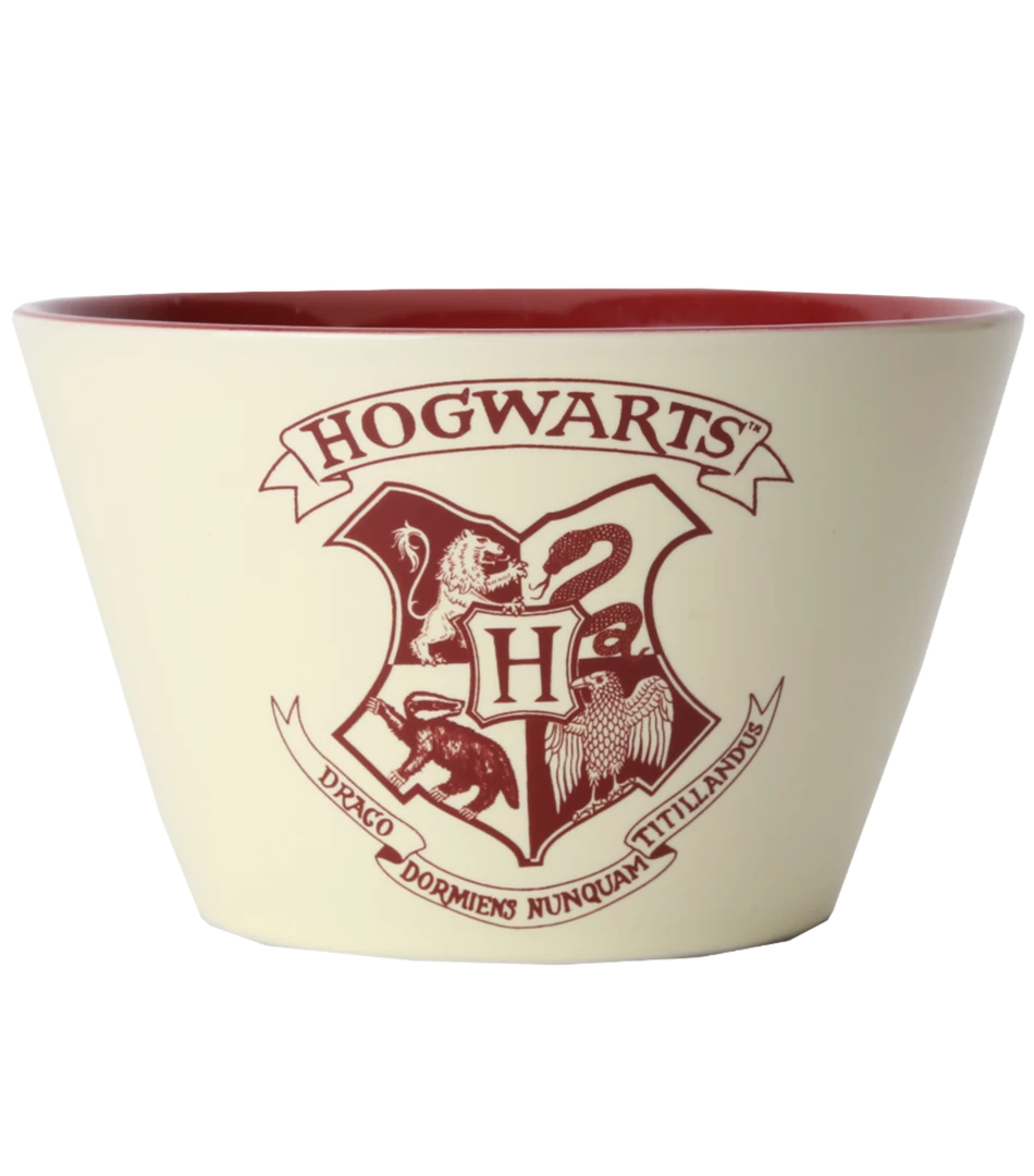 Warner Bros Hogwarts Bowl