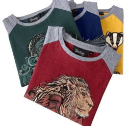 Warner Bros Slytherin Kids T-Shirt Best Sellers