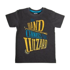 Warner Bros Kids Wand Chooses The Wizard T-Shirt