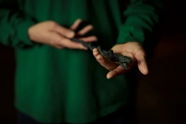 Warner Bros Best Sellers The Slytherin Mascot Wand