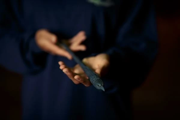 Warner Bros Best Sellers The Ravenclaw Mascot Wand