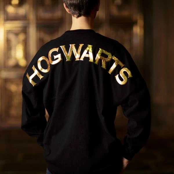 Warner Bros Hogwarts Adult Spirit Jersey
