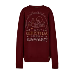 Warner Bros Best Sellers Hogwarts Christmas Sweatshirt