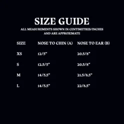 Warner Bros Ravenclaw Face Covering