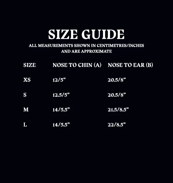 Warner Bros Ravenclaw Face Covering