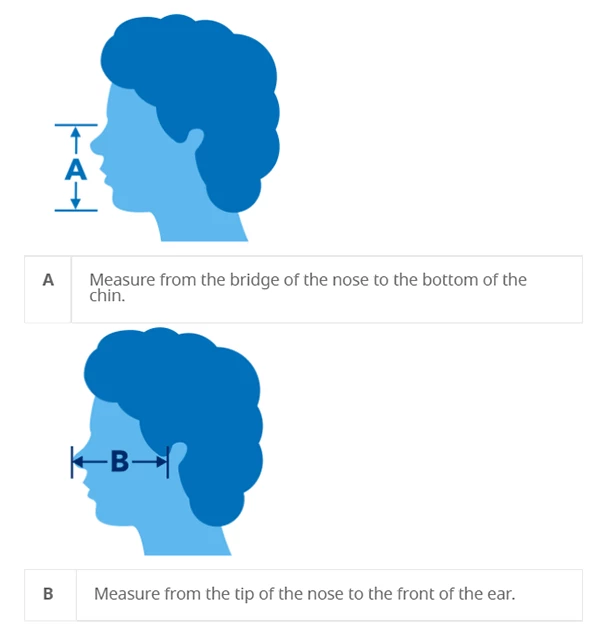 Warner Bros Ravenclaw Face Covering