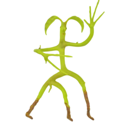 Warner Bros Poseable Pickett Best Sellers