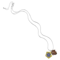 Warner Bros Chocolate Frog Charm Necklace