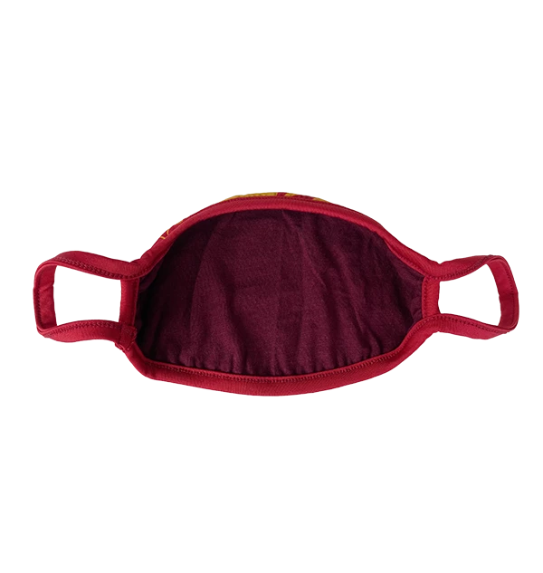 Warner Bros Gryffindor Face Covering Best Sellers