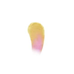 Warner Bros Luna Lovegood'Sunflower' Colour Changing Lipstick