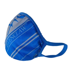 Warner Bros Ravenclaw Face Covering