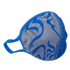 Warner Bros Ravenclaw Face Covering