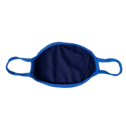 Warner Bros Ravenclaw Face Covering