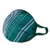 Warner Bros Best Sellers Slytherin Face Covering